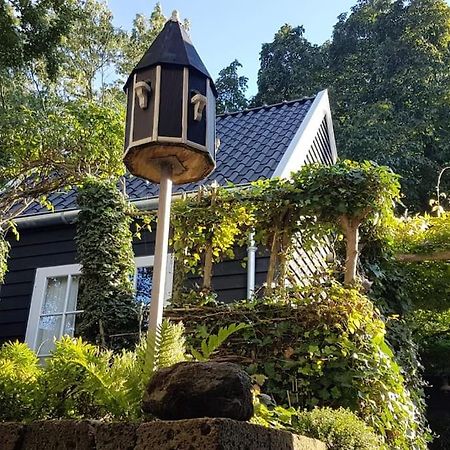 Tiny House Tholen Villa Eksteriør billede