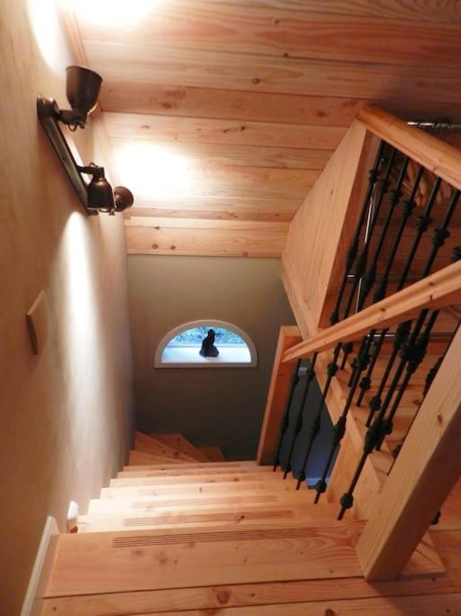 Tiny House Tholen Villa Eksteriør billede
